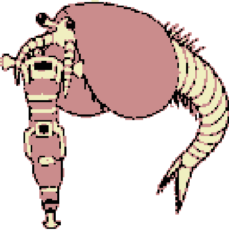 clypecaris using a jackhammer