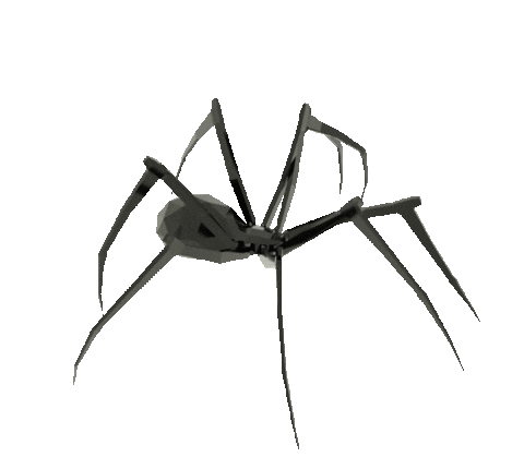 spider